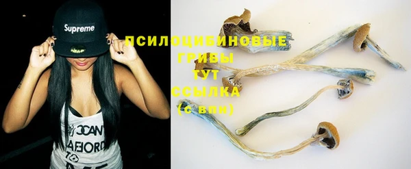МДПВ Богородицк
