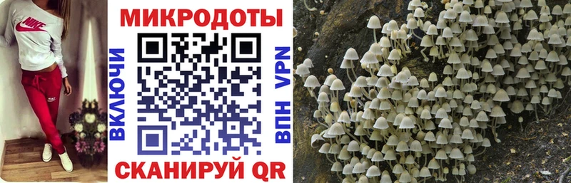 mega онион  Дно  Галлюциногенные грибы GOLDEN TEACHER 