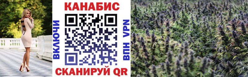 Каннабис конопля  Дно 
